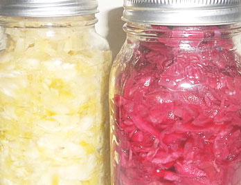 red and green cabbage sauerkraut mason jar 