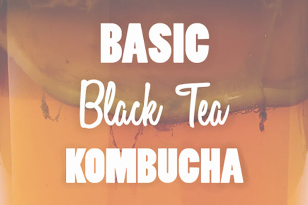 Basic Black Tea Kombucha Recipe
