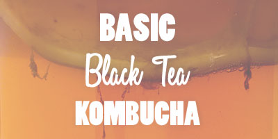 Basic Black Tea Kombucha Recipe Blog Photo